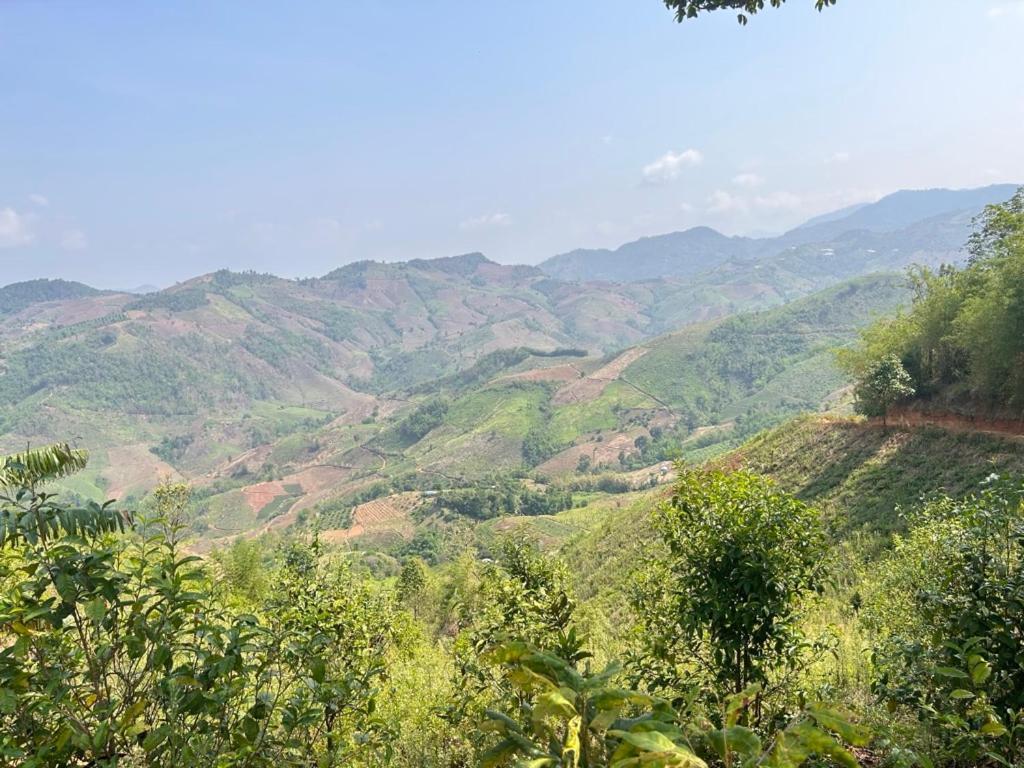 My Story Doichang Chiangrai Ban Huai Khai Dış mekan fotoğraf